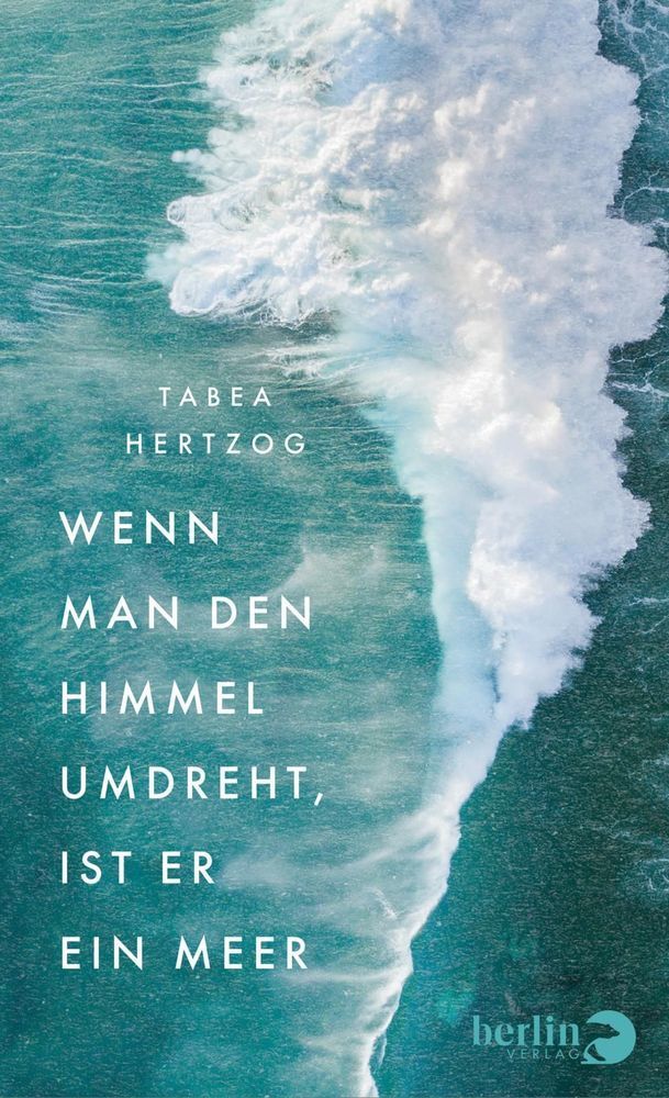 Cover: 9783827013903 | Wenn man den Himmel umdreht, ist er ein Meer | Tabea Hertzog | Buch