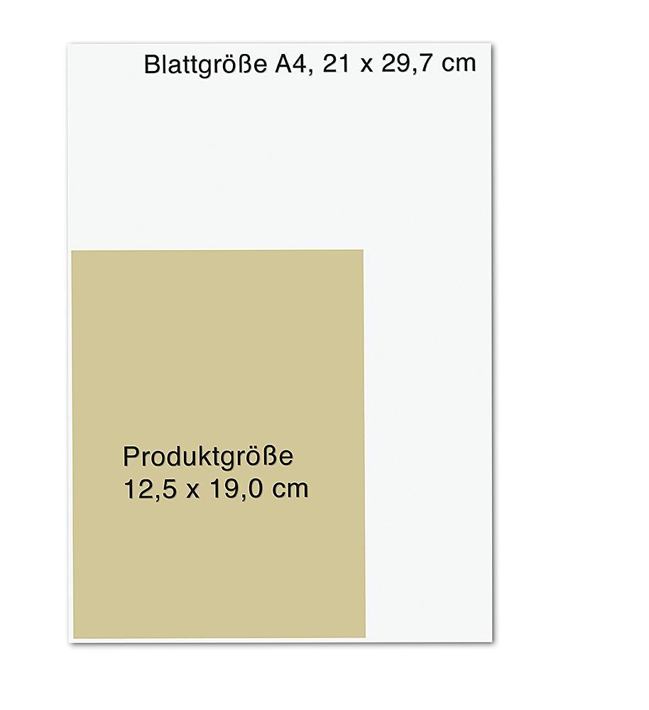 Bild: 9783426879375 | Strategien der Natur | Wie die Weisheit der Bäume unser Leben stärkt