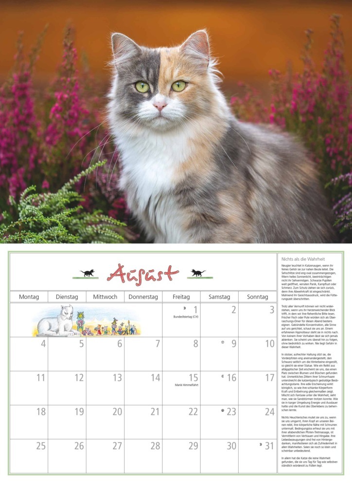 Bild: 4250809652412 | DUMONT - DUMONTS Katzenkalender 2025 Broschürenkalender, 42x29cm,...