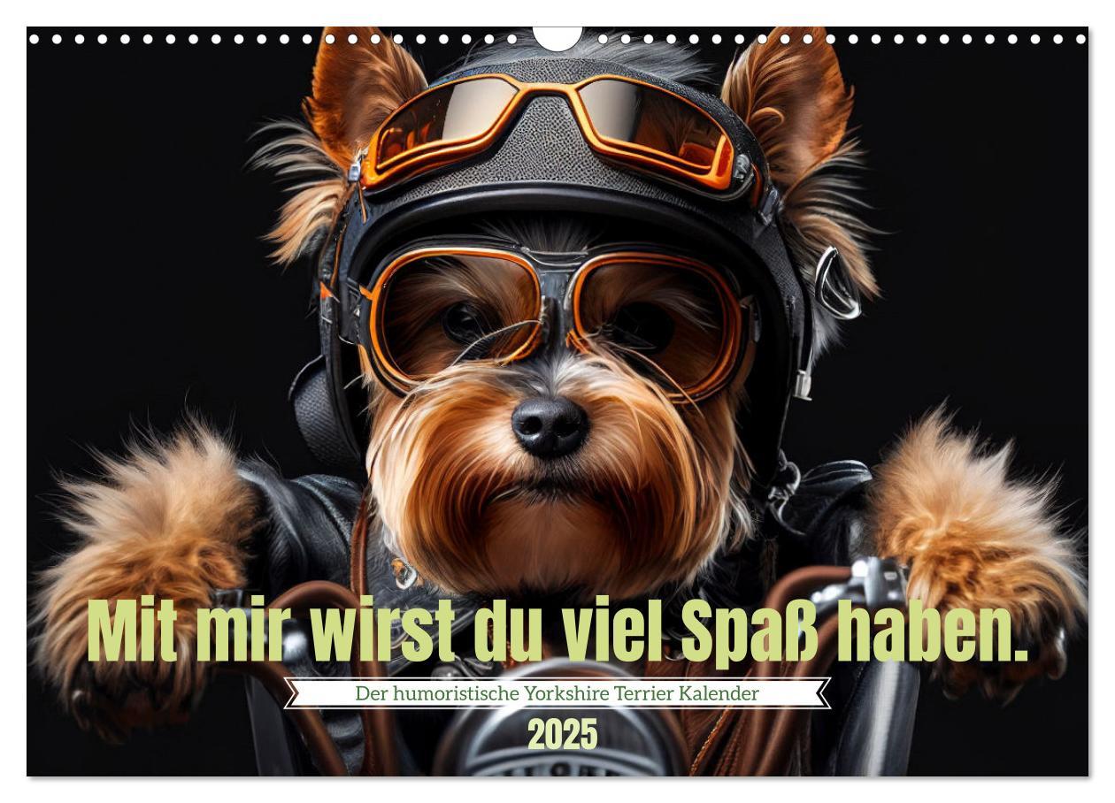 Cover: 9783383920219 | Der humoristische Yorkshire Terrier Kalender (Wandkalender 2025 DIN...