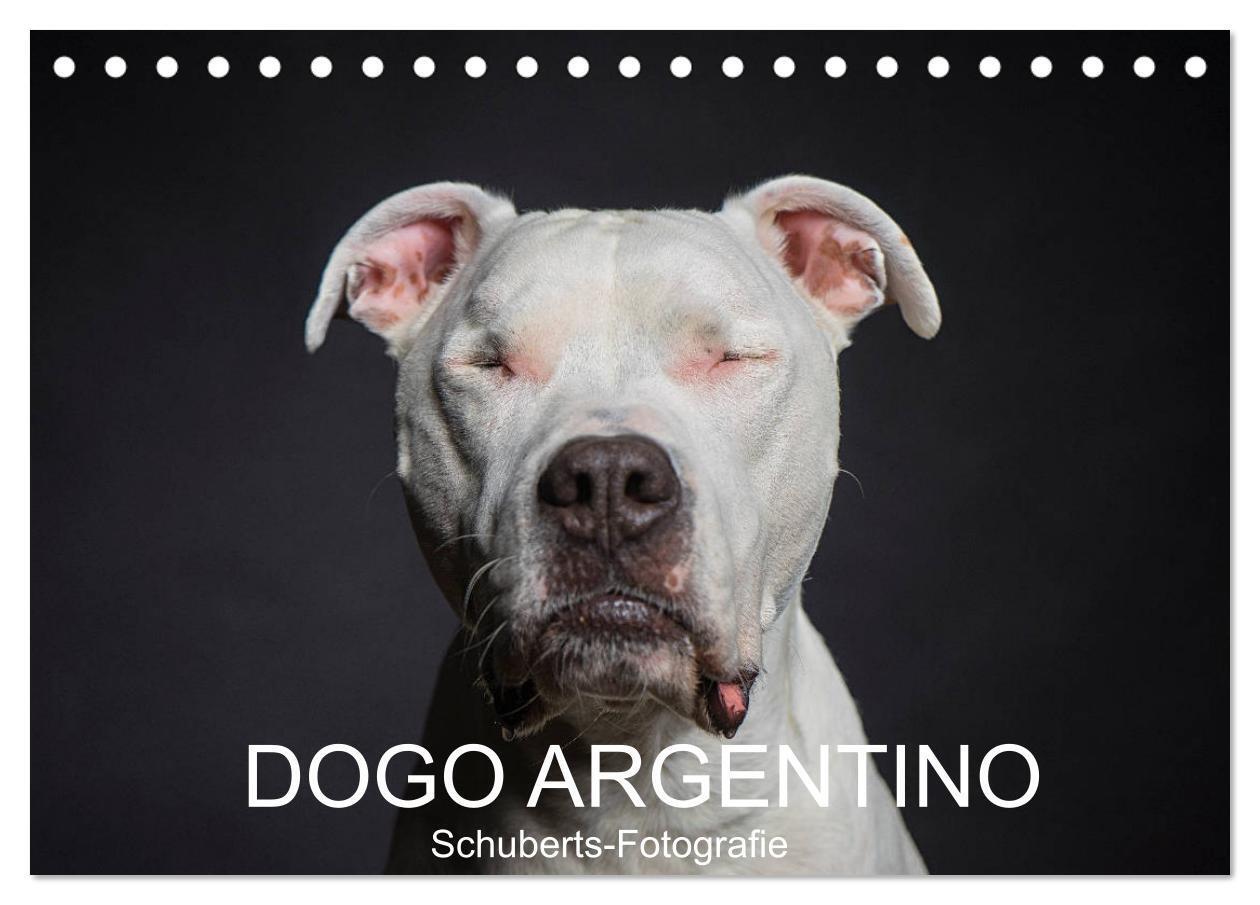 Cover: 9783675572362 | DOGO ARGENTINO (Tischkalender 2024 DIN A5 quer), CALVENDO...