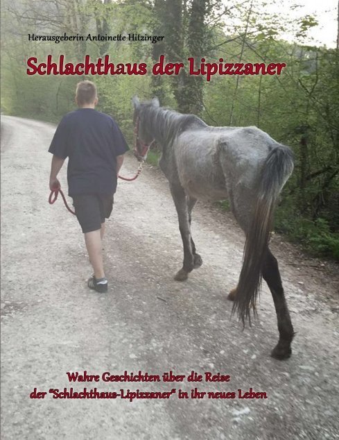 Cover: 9783734534225 | Schlachthaus der Lipizzaner | Hitzinger | Taschenbuch | 364 S. | 2016