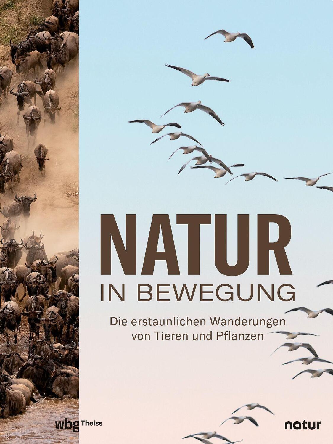 Cover: 9783806245479 | Natur in Bewegung | Andrea Stegemann | Buch | 128 S. | Deutsch | 2022