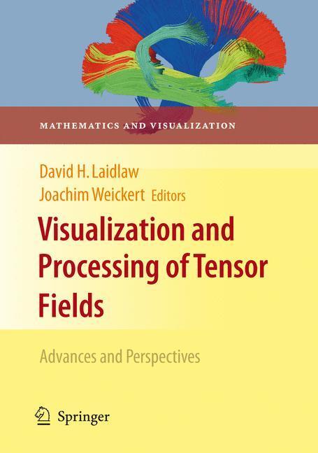 Cover: 9783540883777 | Visualization and Processing of Tensor Fields | Weickert (u. a.)