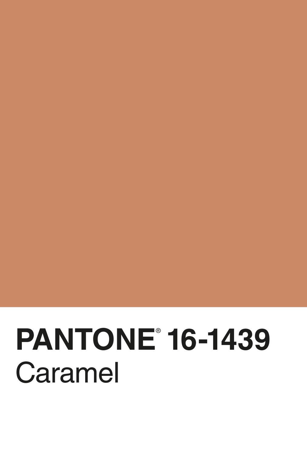 Bild: 9783832199517 | Pantone | 100 Postkarten | Pantone | Taschenbuch | 100 S. | Deutsch