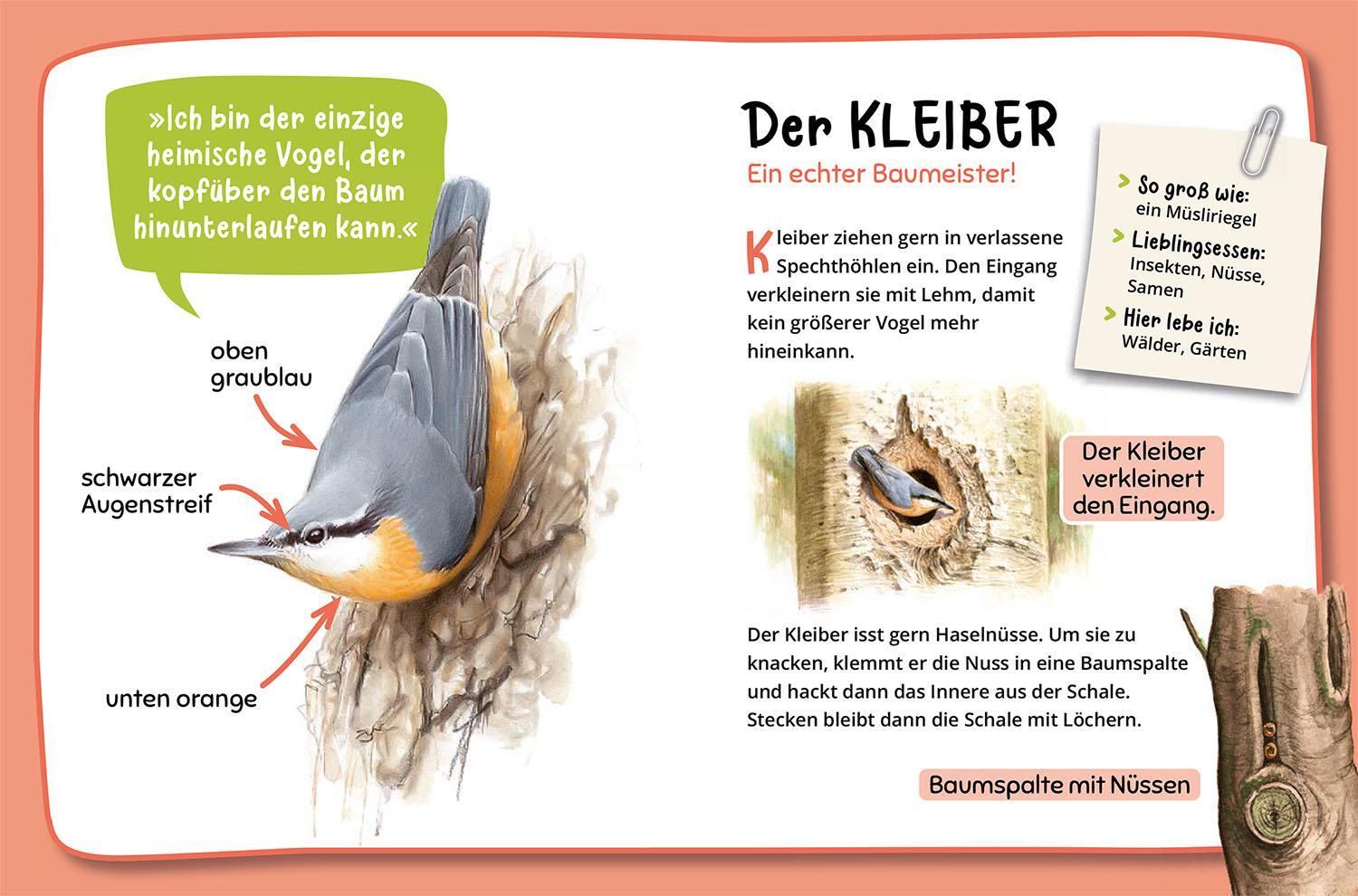 Bild: 9783440178058 | Mein erster Naturführer, Welche Tierspur ist das? | Veronika Lang