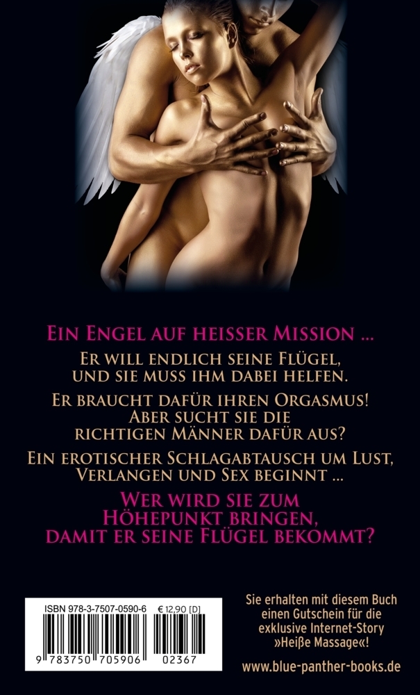 Bild: 9783750705906 | Ein Engel auf heißer Mission ... Erotischer Roman | Sabine Neb | Buch