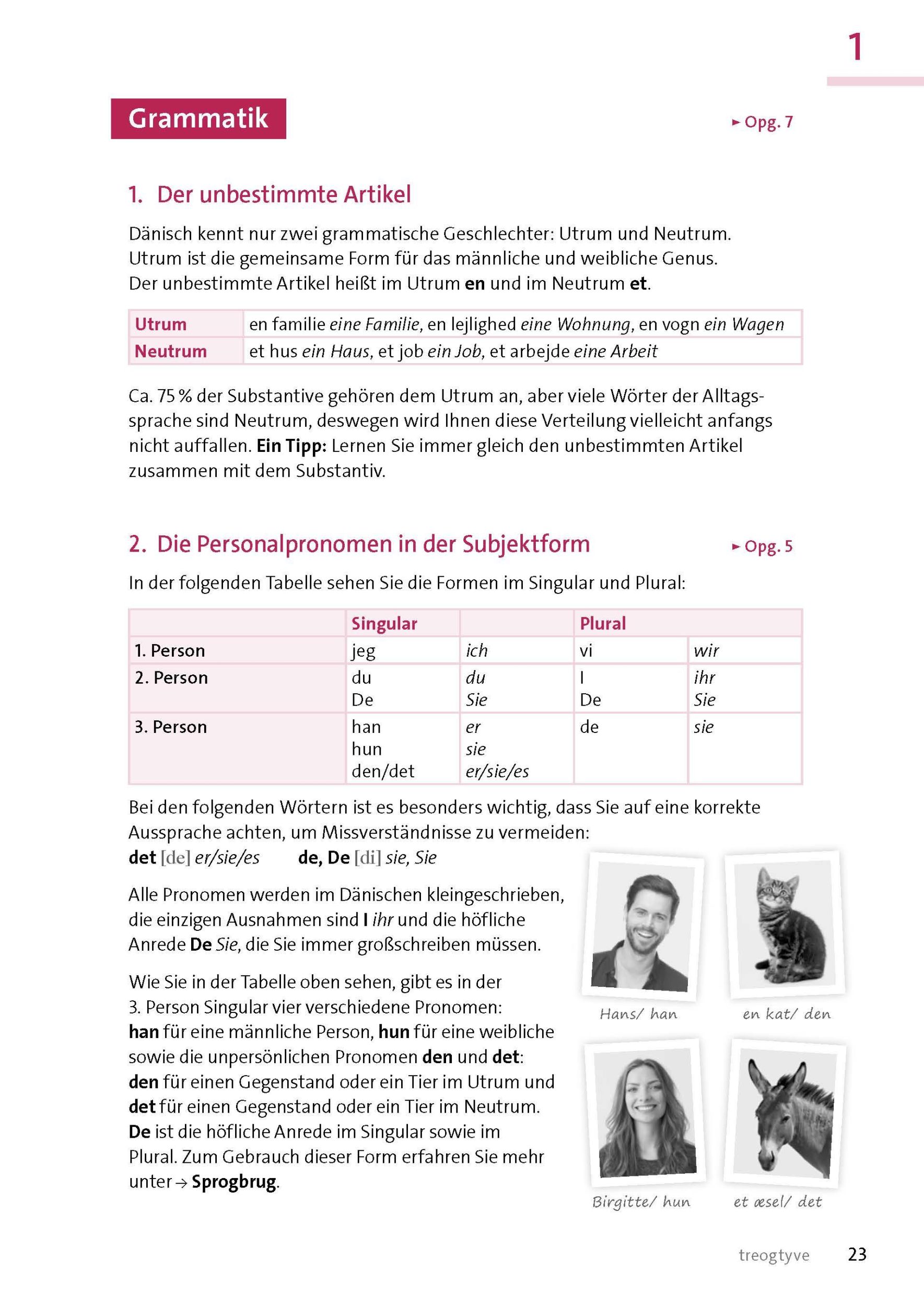 Bild: 9783125635982 | Langenscheidt Sprachkurs mit System Dänisch | Buch | 288 S. | Deutsch