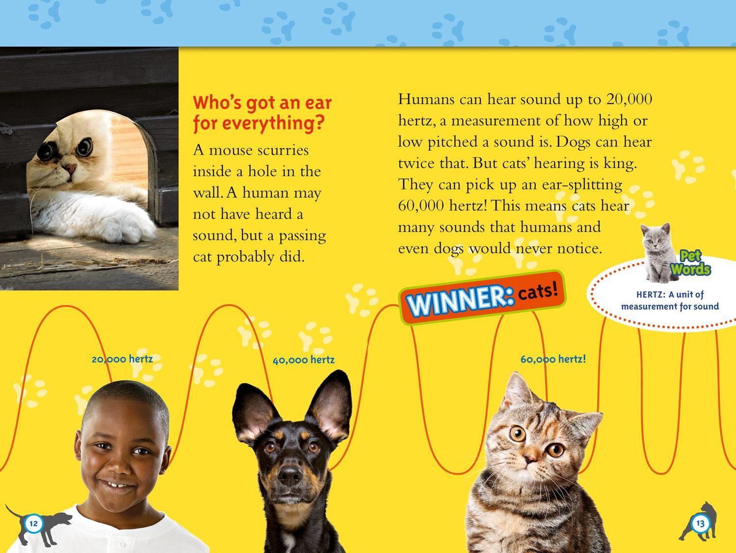 Bild: 9780008266790 | Cats vs. Dogs | Level 4 | Elizabeth Carney (u. a.) | Taschenbuch