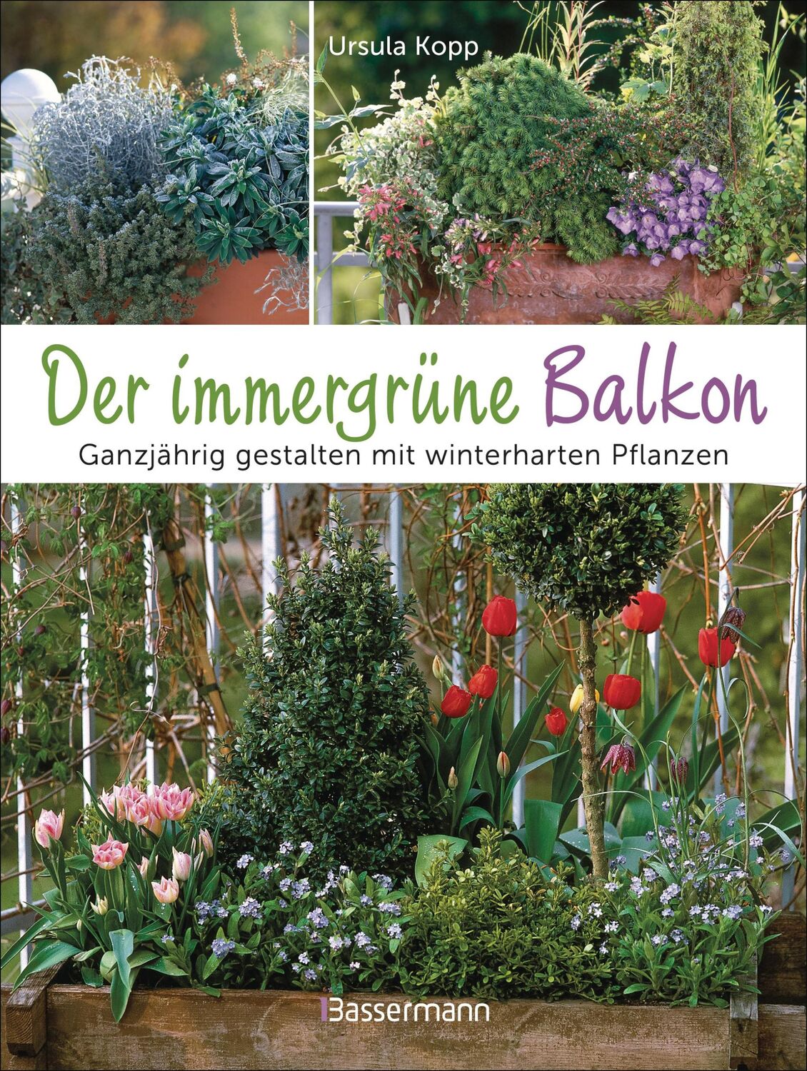 Cover: 9783809449614 | Der immergrüne Balkon. Ganzjährig gestalten mit winterharten Pflanzen