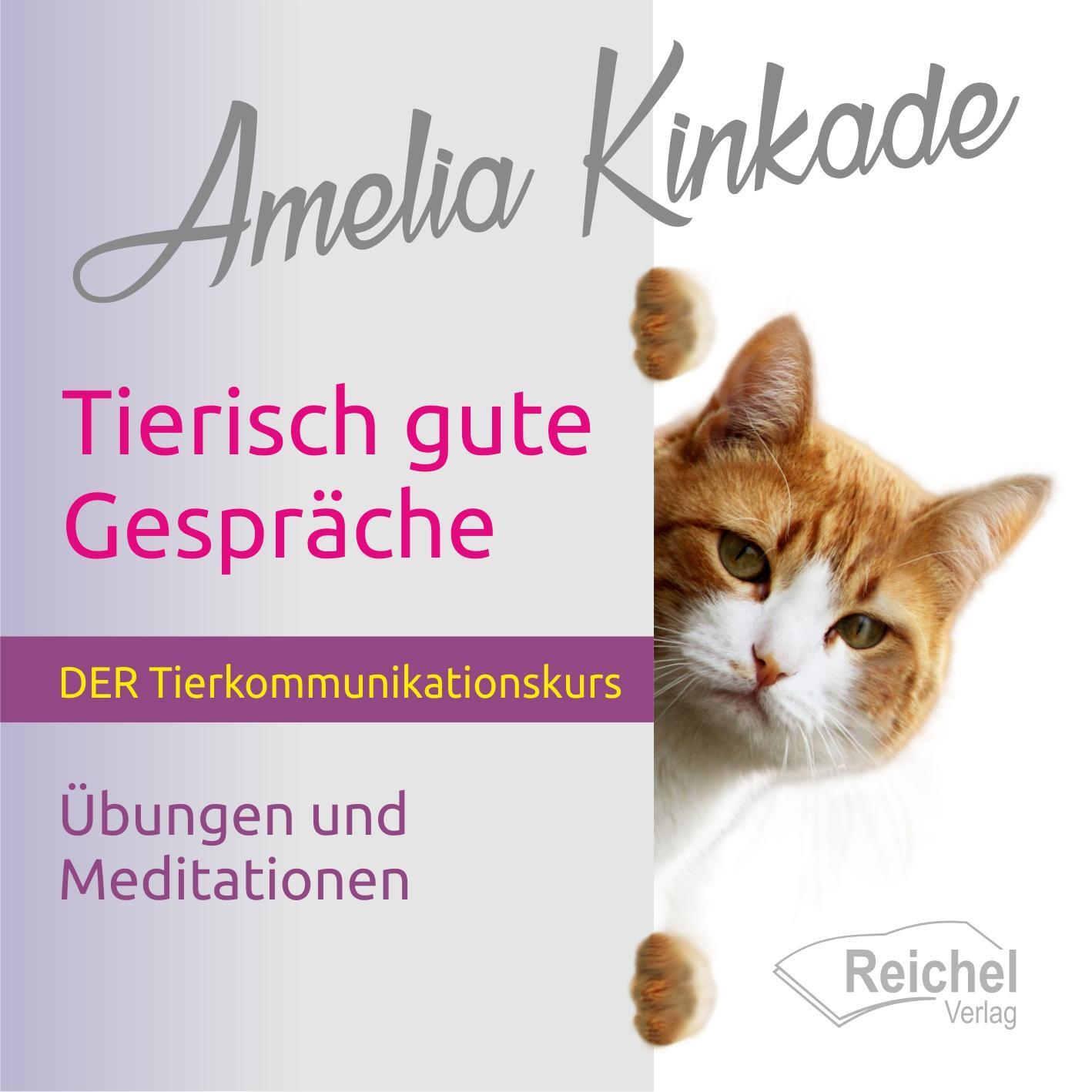 Cover: 9783946959908 | Tierisch gute Gespräche | Amelia Kinkade | Audio-CD | Deutsch | 2021