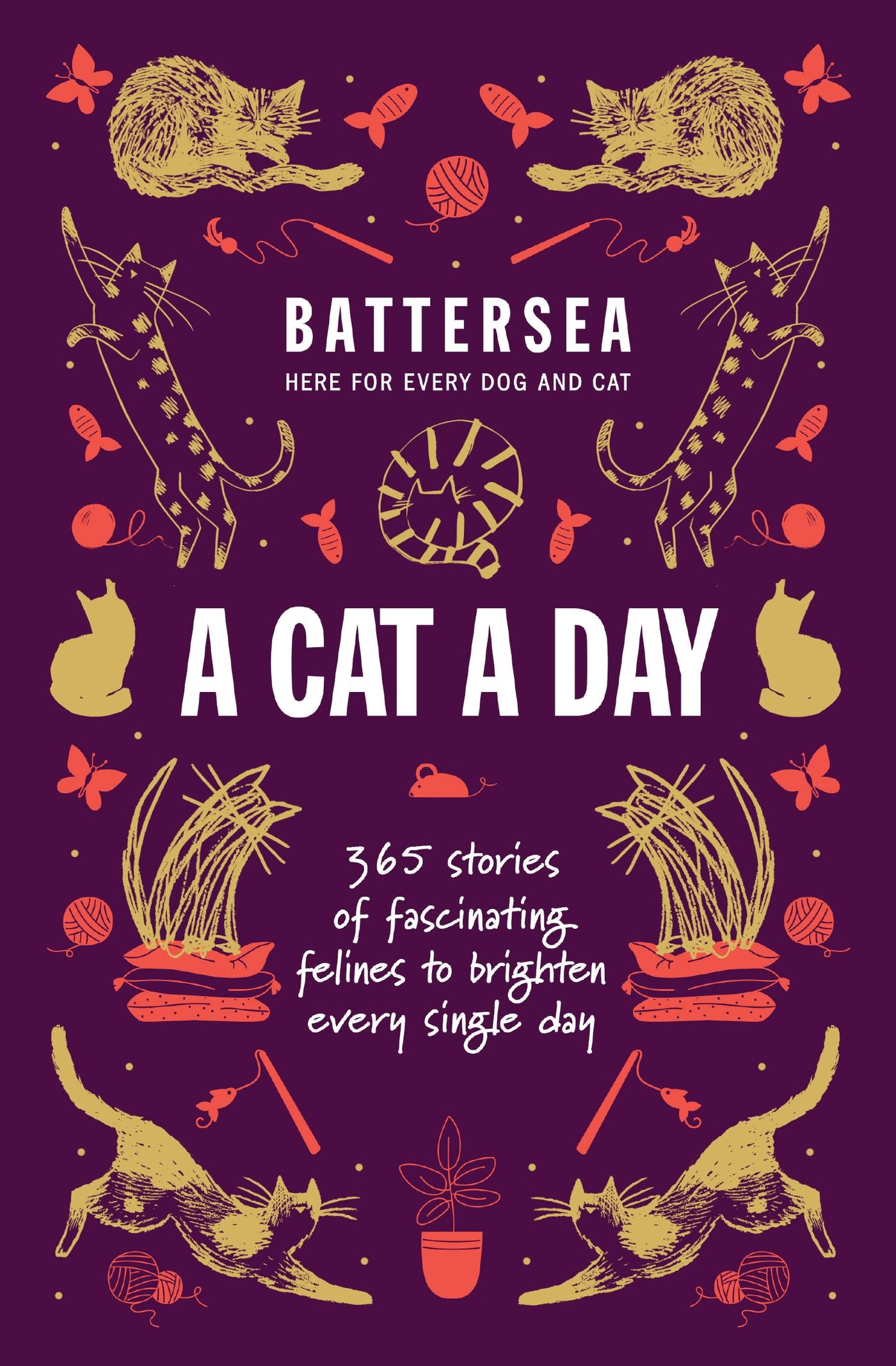 Cover: 9781035425549 | Battersea Dogs and Cats Home - A Cat a Day | Home | Taschenbuch | 2024