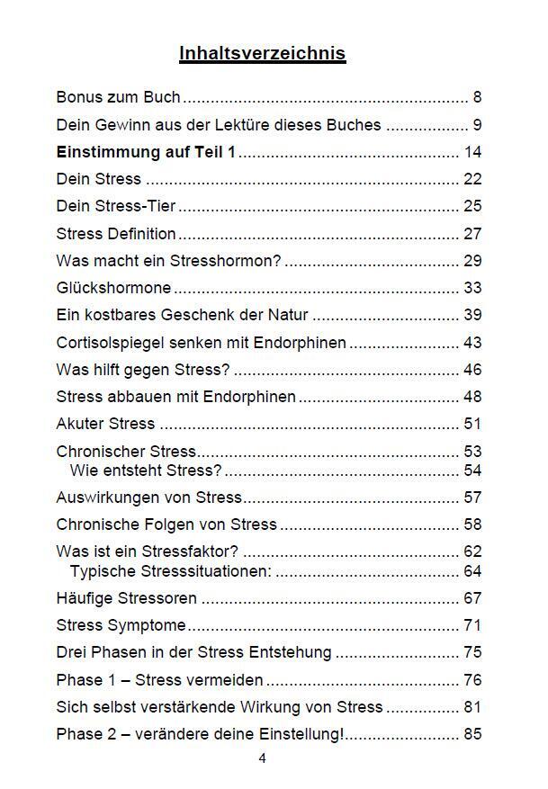 Bild: 9783967380927 | Stress abbauen und Stress vermeiden | Michelle Haintz | Taschenbuch