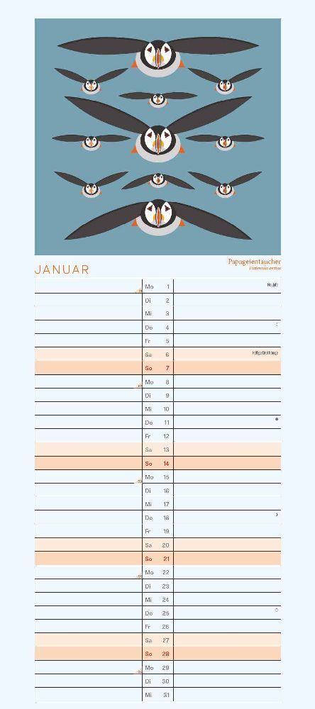 Bild: 4250809652016 | Planer 2024 I like Birds | DuMont Kalenderverlag | Kalender | 30 S.