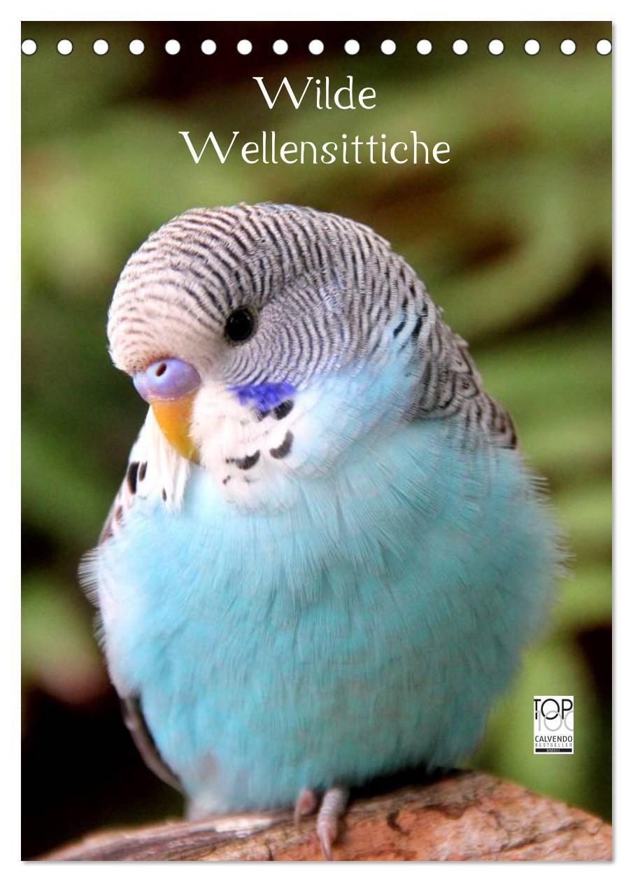 Cover: 9783383616464 | Wilde Wellensittiche (Tischkalender 2024 DIN A5 hoch), CALVENDO...