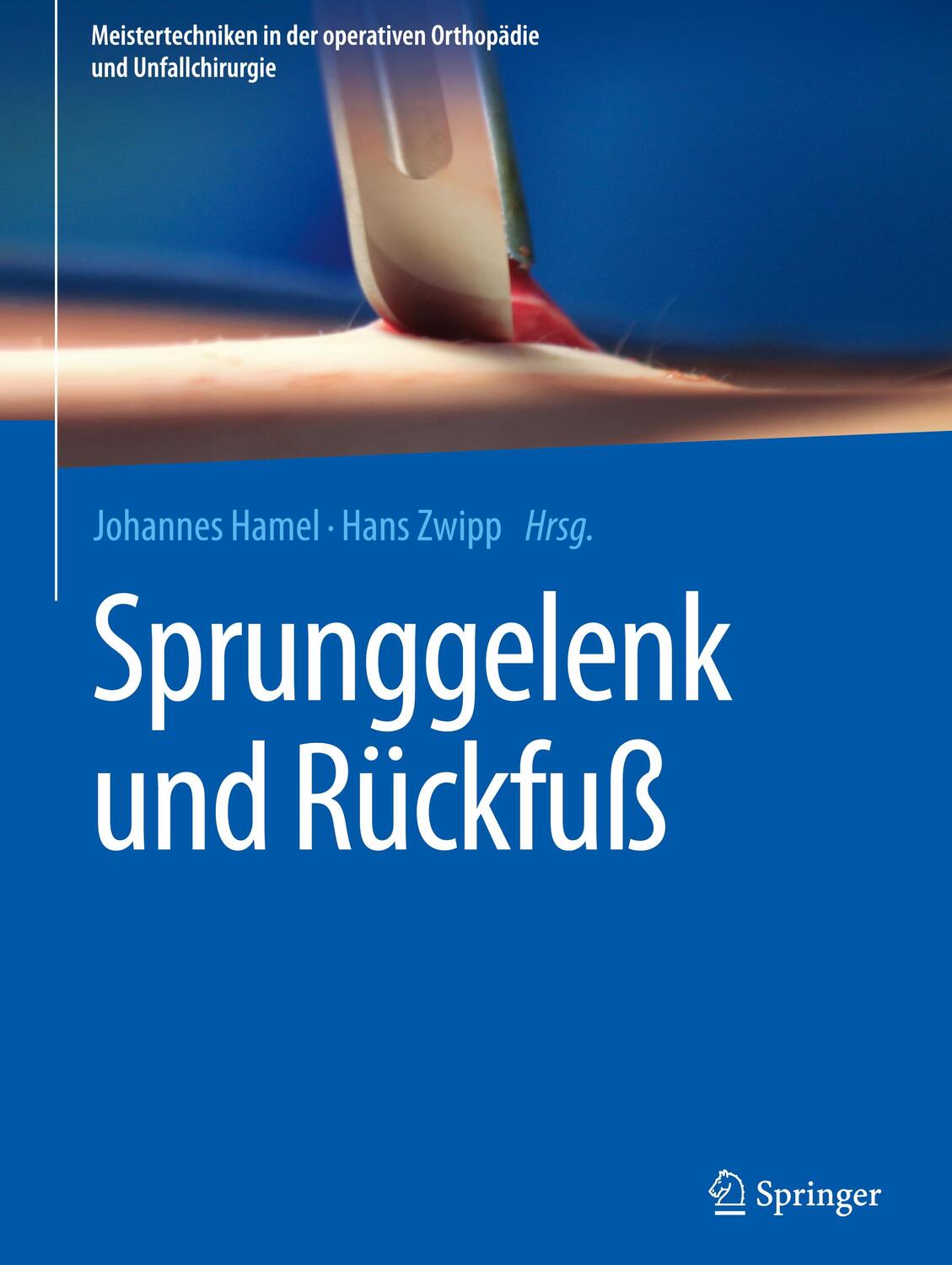 Cover: 9783662455708 | Sprunggelenk und Rückfuß | Hans Zwipp (u. a.) | Buch | xi | Deutsch