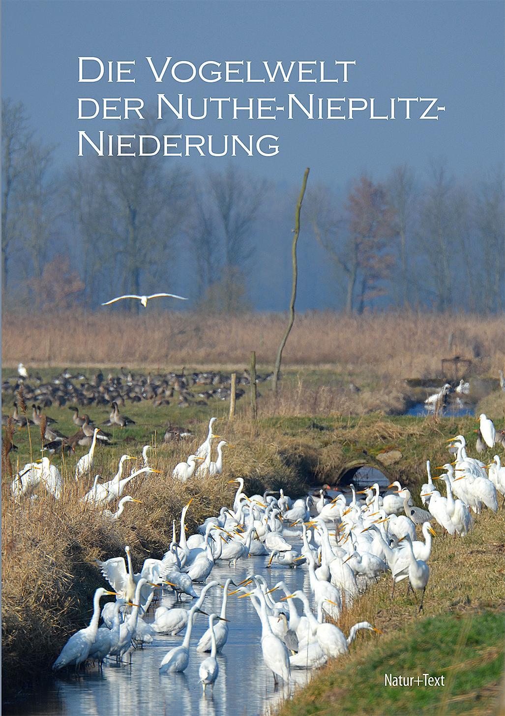 Cover: 9783942062398 | Die Vogelwelt der Nuthe-Nieplitz-Niederung | Kommentierte Artenliste
