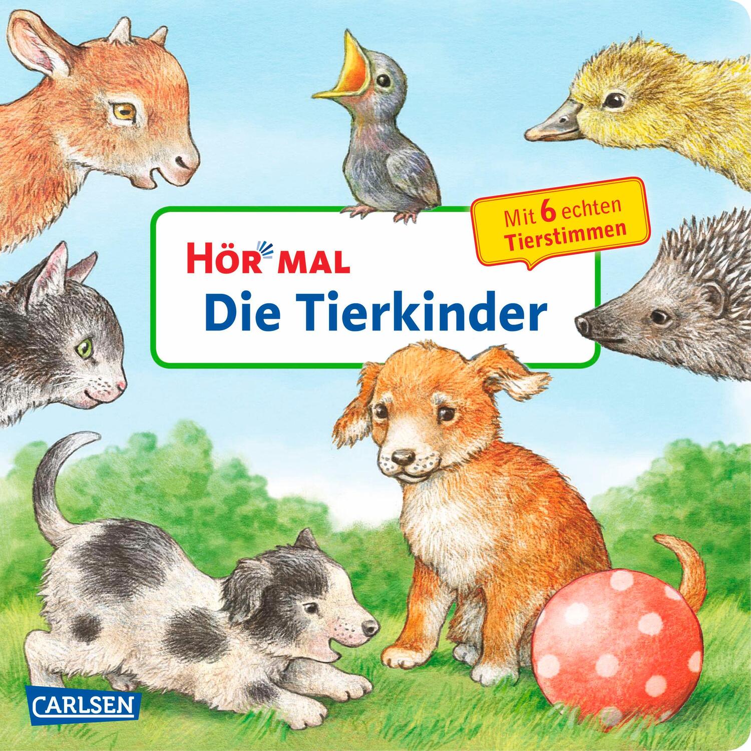 Cover: 9783551250469 | Hör mal (Soundbuch): Die Tierkinder | Anne Möller | Buch | 16 S.