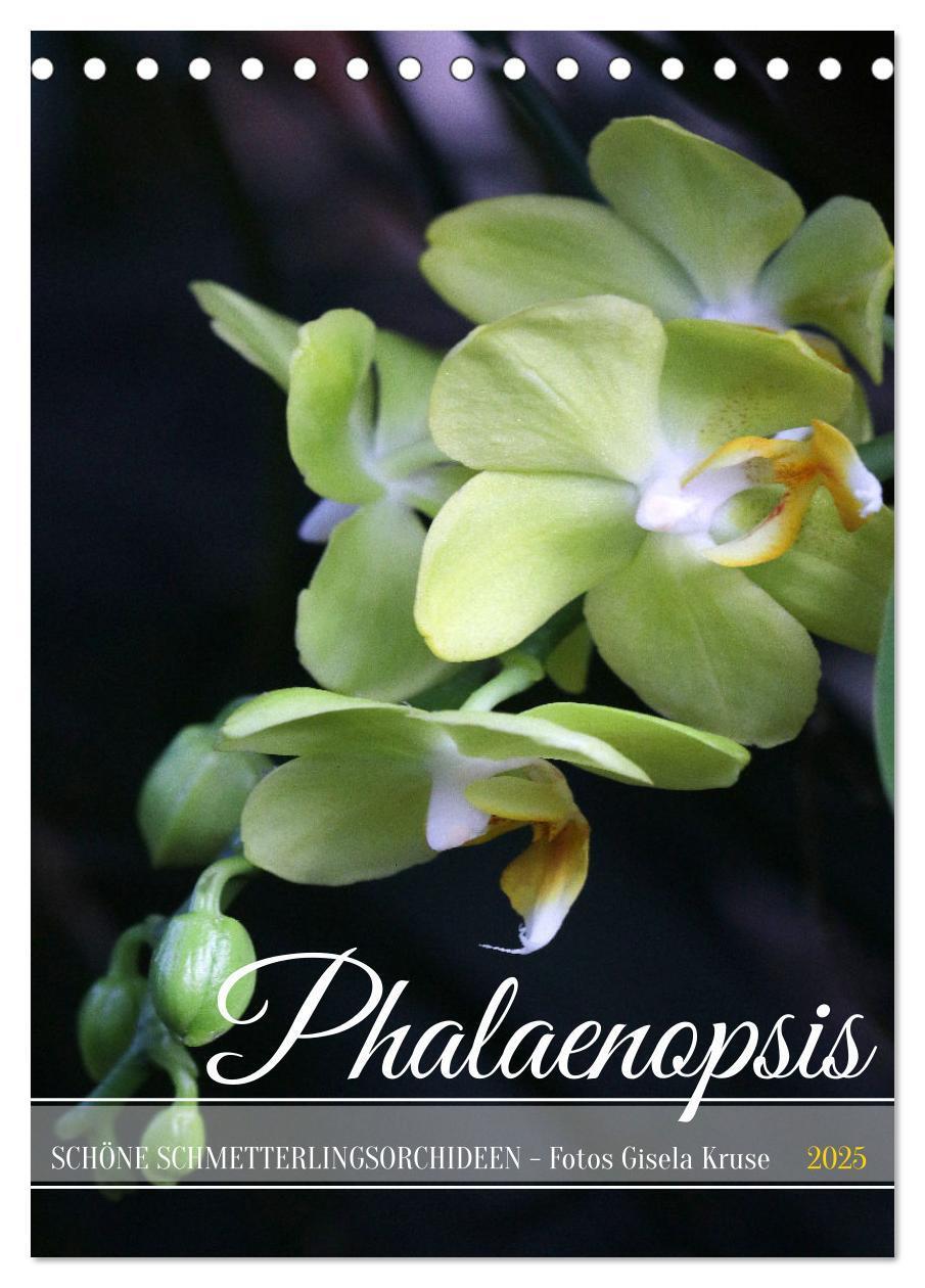 Cover: 9783435843077 | Phalaenopsis - Schöne Schmetterlingsorchideen (Tischkalender 2025...