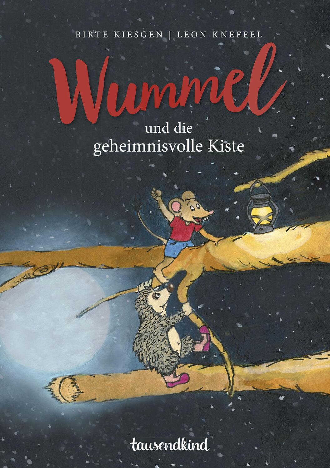Cover: 9783985071180 | Wummel und die geheimnisvolle Kiste | Birte Kiesgen | Buch | Deutsch