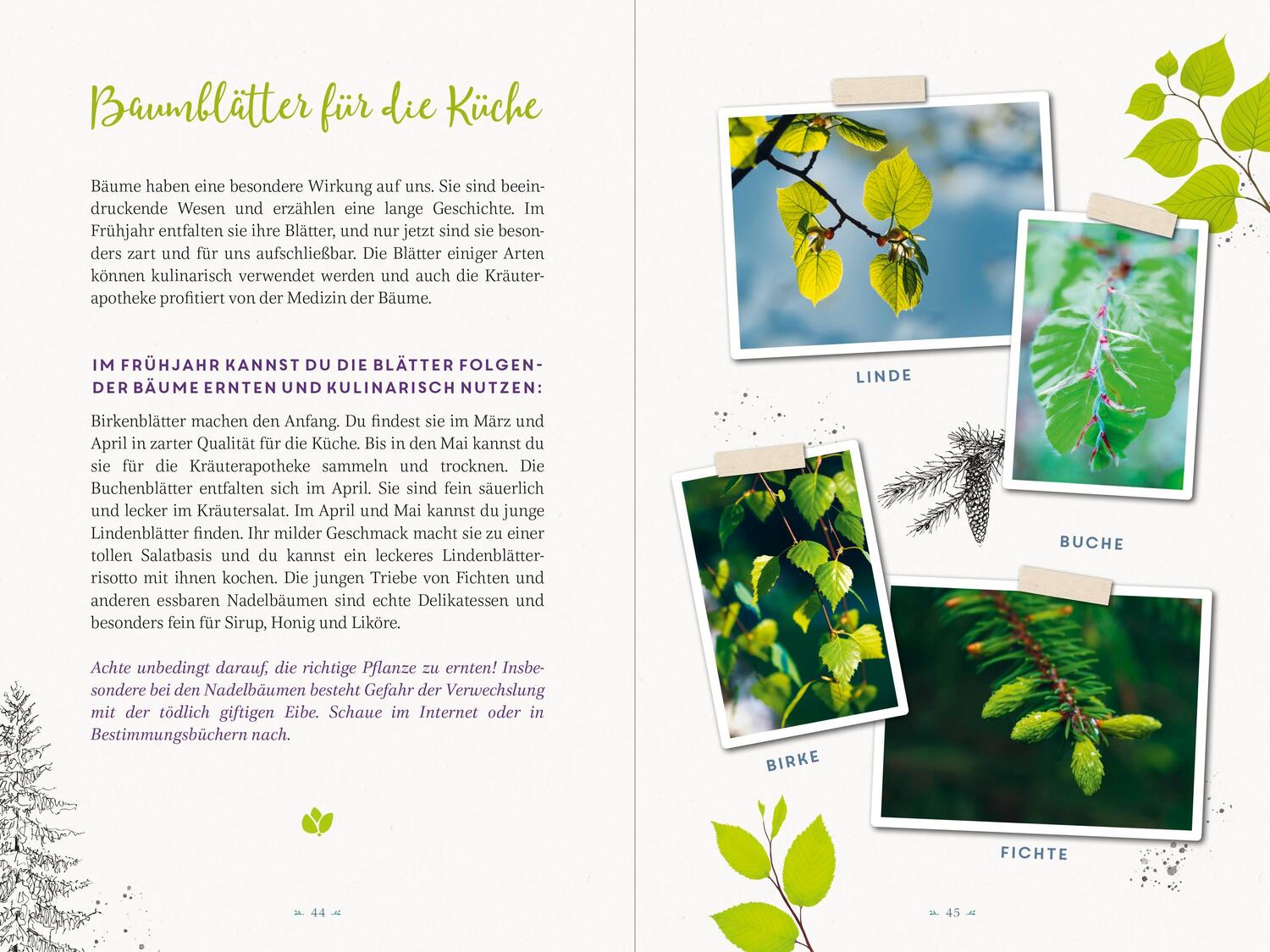 Bild: 9783848501595 | Wildes Grün - Mit Kräutern und Pflanzen durchs Jahr | Tine Knauft