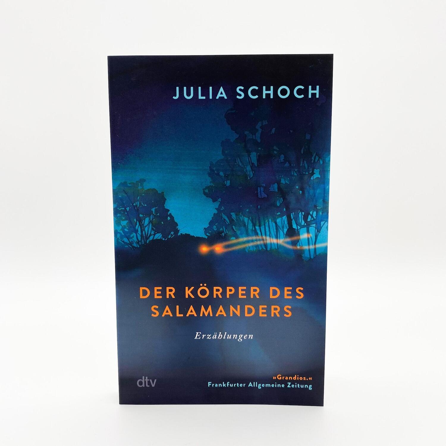 Bild: 9783423148528 | Der Körper des Salamanders | Julia Schoch | Taschenbuch | 192 S.