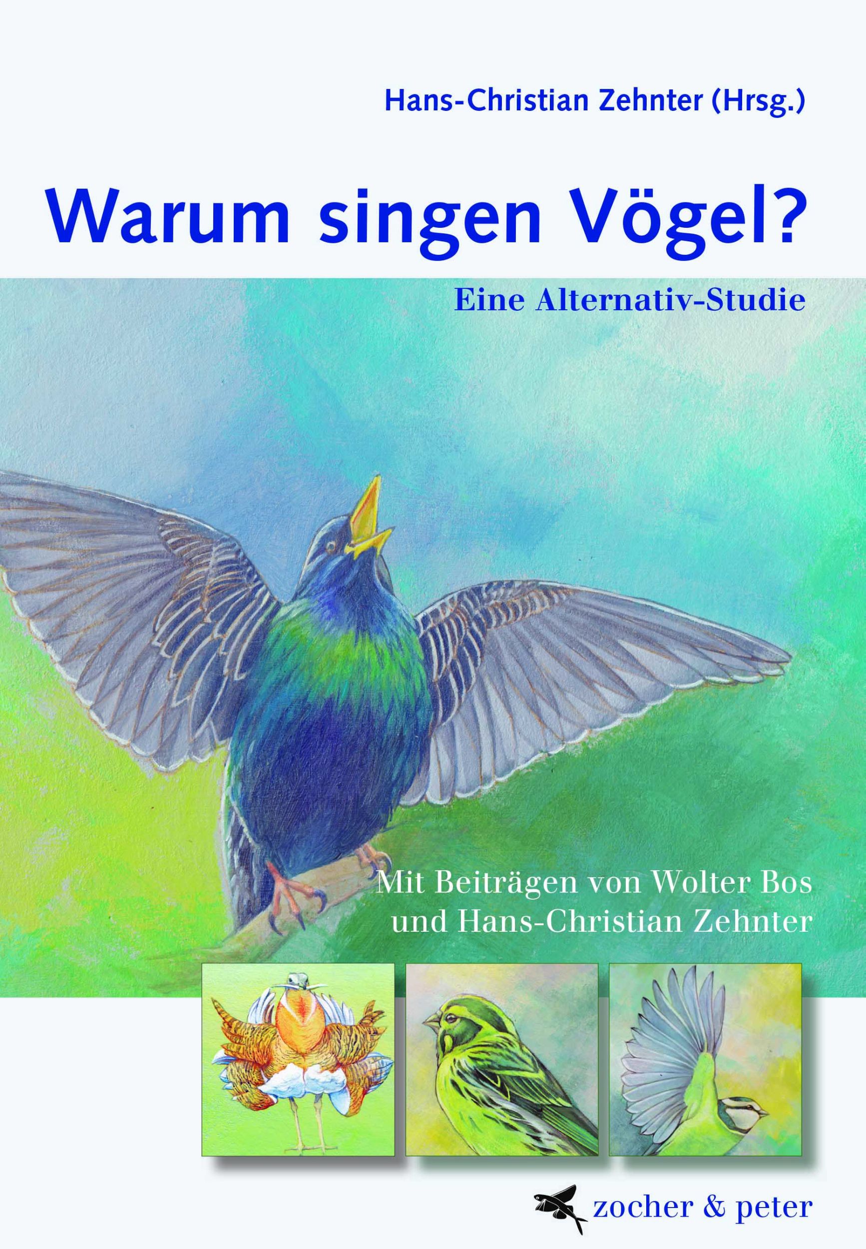 Cover: 9783907159019 | Warum Vögel singen | Eine musikalische Spurensuche | David Rothenberg