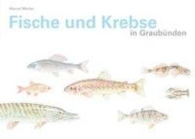 Cover: 9783906064789 | Fische und Krebse in Graubünden | Marcel Michel | Buch | Gebunden