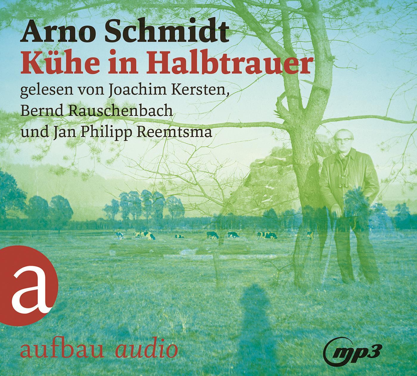 Cover: 9783961052219 | Kühe in Halbtrauer | Arno Schmidt | MP3 | 2 | Deutsch | 2020