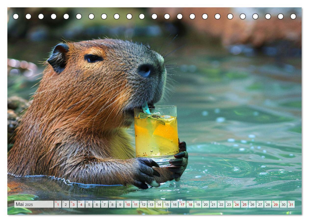 Bild: 9783457163993 | Capybaras im Alltag - Ein Jahr voller Abenteuer (Tischkalender 2025...