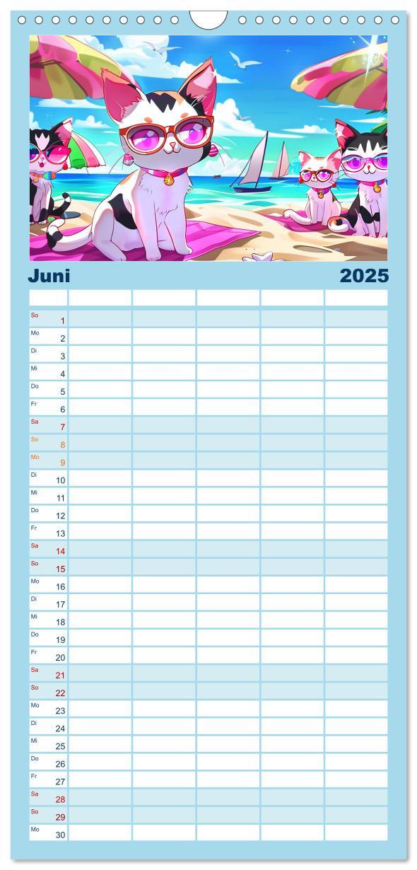 Bild: 9783457195253 | Familienplaner 2025 - Anime Cats mit 5 Spalten (Wandkalender, 21 x...