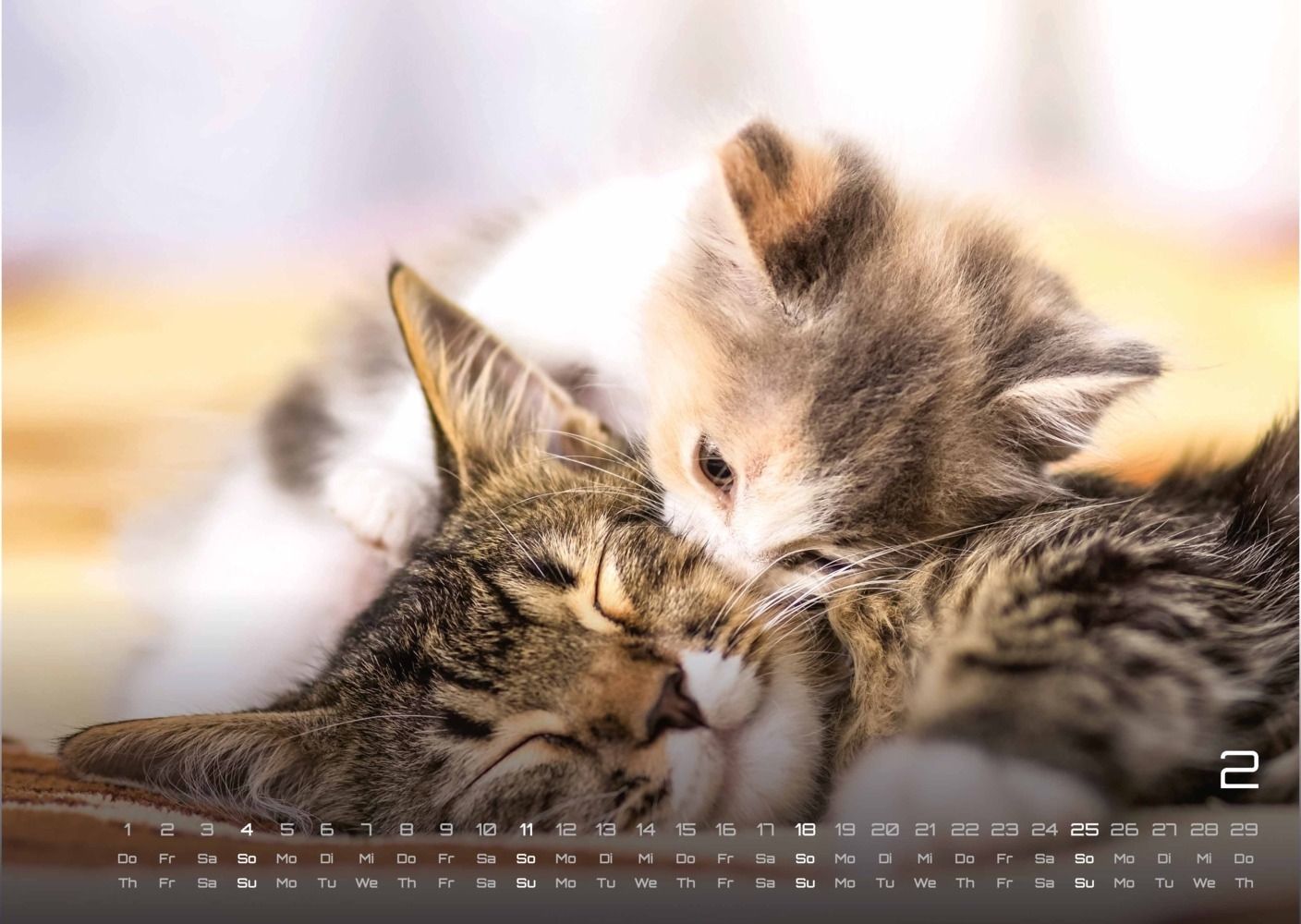 Bild: 9783986732257 | Miau Kids - kleine Tiger ganz groß - Der Katzenkalender - 2024 -...