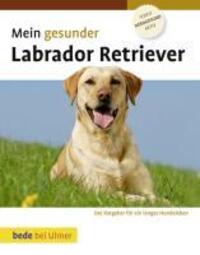 Cover: 9783800167777 | Mein gesunder Labrador Retriever | Lowell Ackerman | Buch | 120 S.
