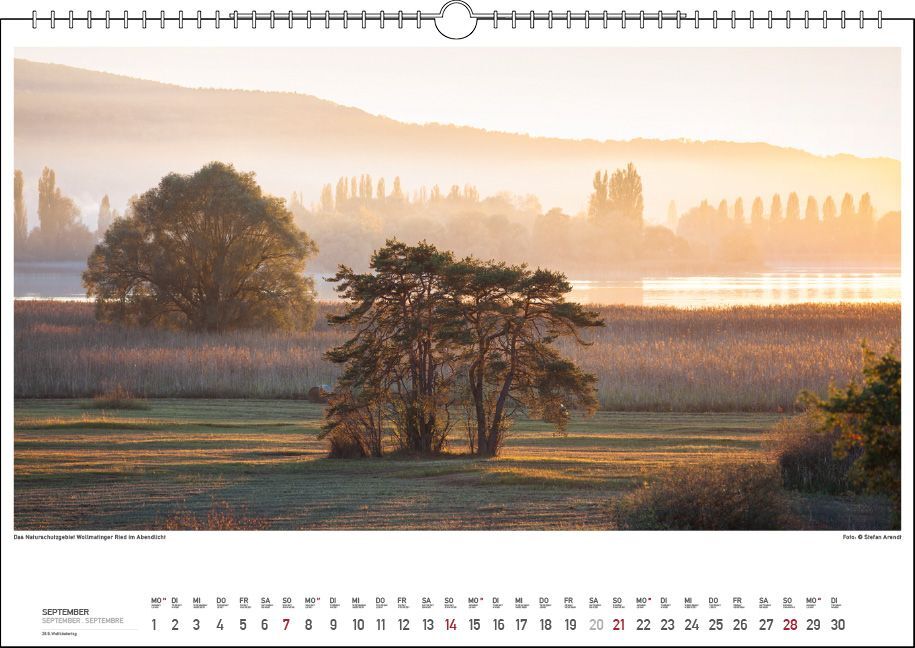 Bild: 9783861924043 | Bodensee Wasser.Berge.Licht. 2025 | Stefan Arendt | Kalender | 13 S.