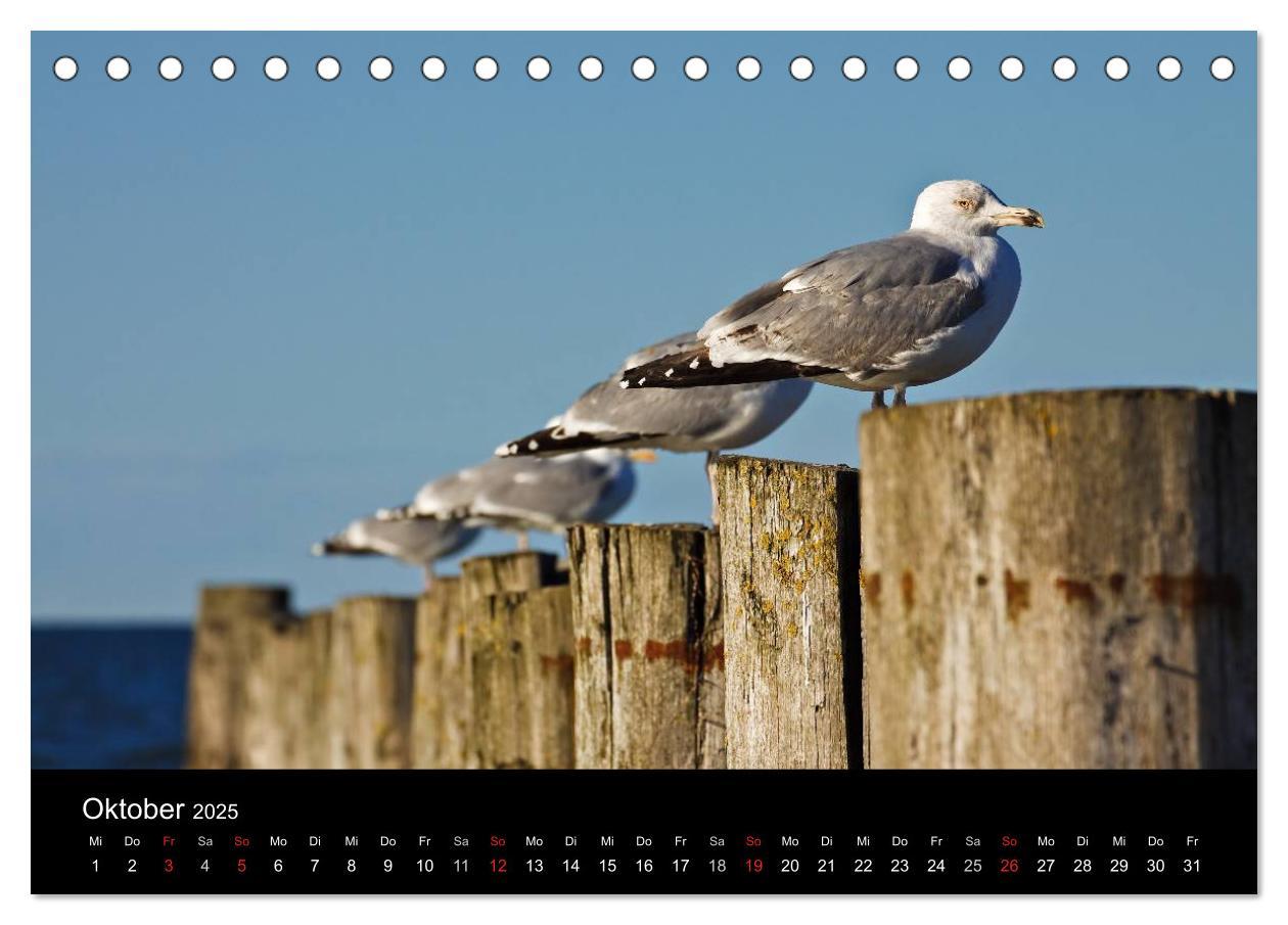 Bild: 9783435716791 | Unterwegs an der Küste der Ostsee (Tischkalender 2025 DIN A5 quer),...