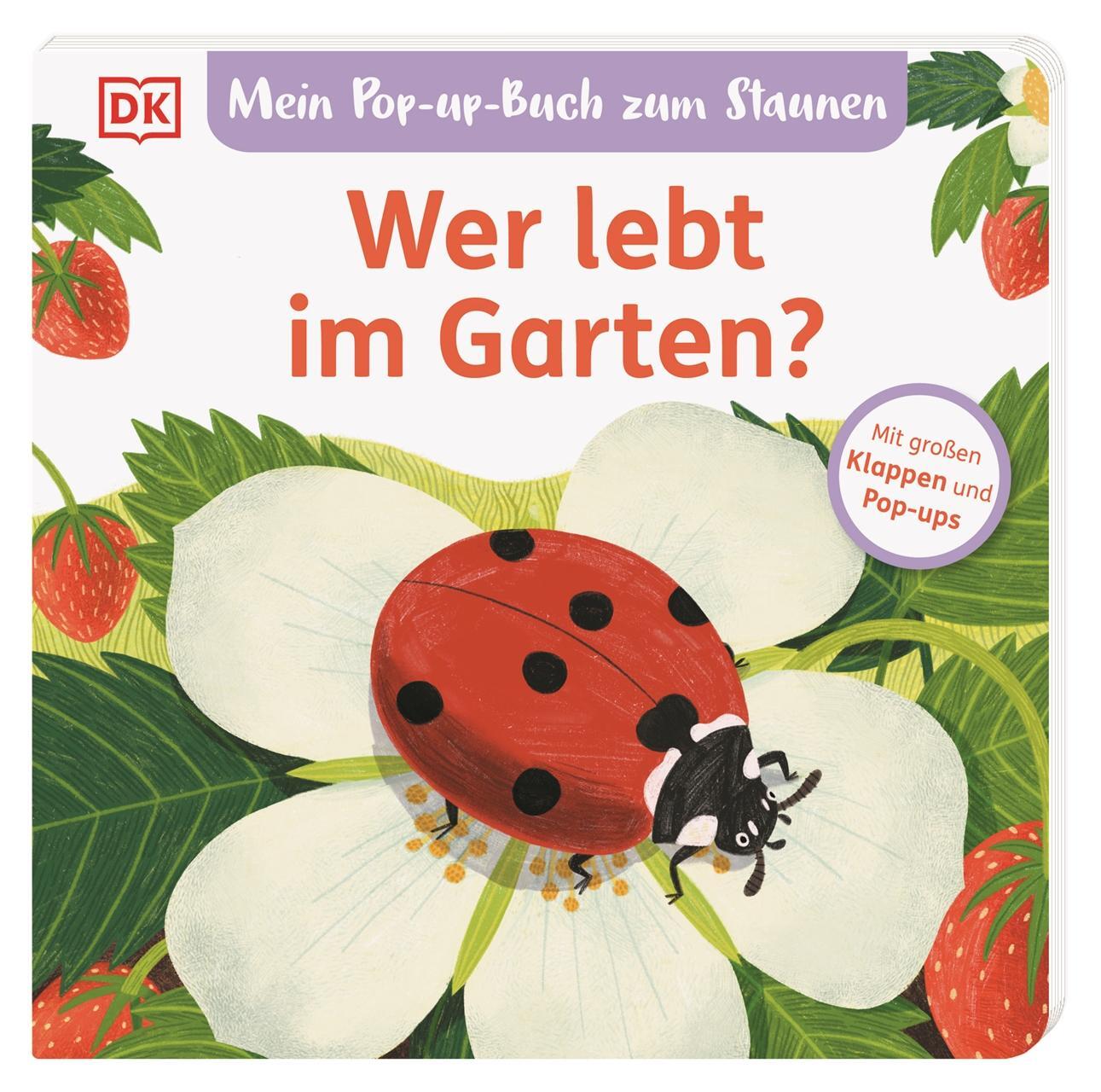 Cover: 9783831048786 | Mein Pop-up-Buch zum Staunen. Wer lebt im Garten? | Sandra Grimm