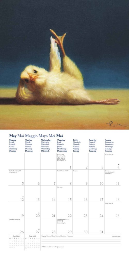 Bild: 4250809653914 | DUMONT - Yoga Chicks: Lucia Heffernan 2025 Broschürenkalender,...