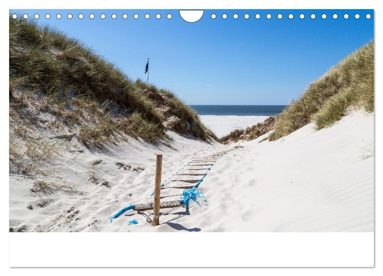 Bild: 9783383861031 | Amrum - Das Paradies in der Nordsee (Wandkalender 2025 DIN A4...