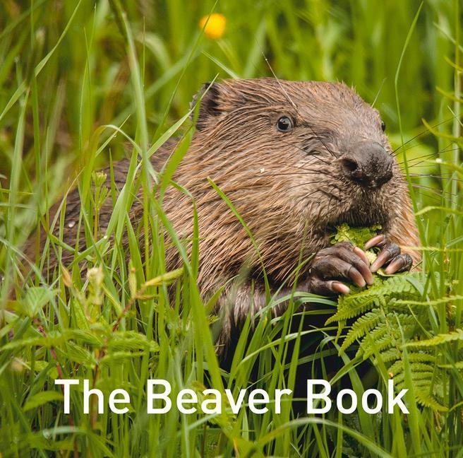 Cover: 9781914079214 | The Beaver Book | Hugh Warwick | Buch | Nature Book Series | Gebunden