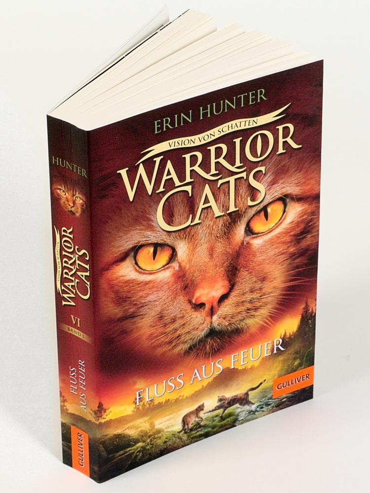 Bild: 9783407812339 | Warrior Cats - Vision von Schatten. Fluss aus Feuer | Erin Hunter