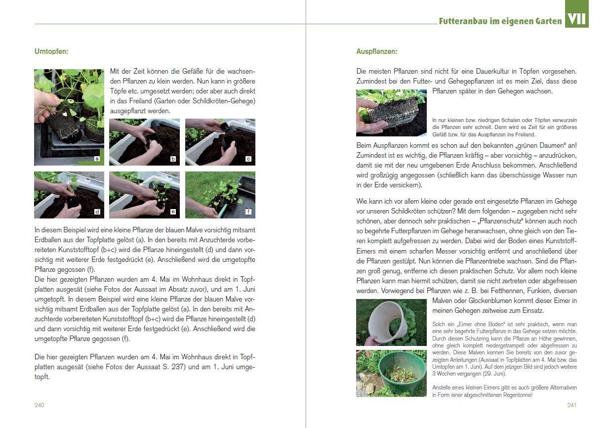 Bild: 9783944484099 | Der Schildkröten-Gärtner - Naturnahe Ernährung Europäischer...
