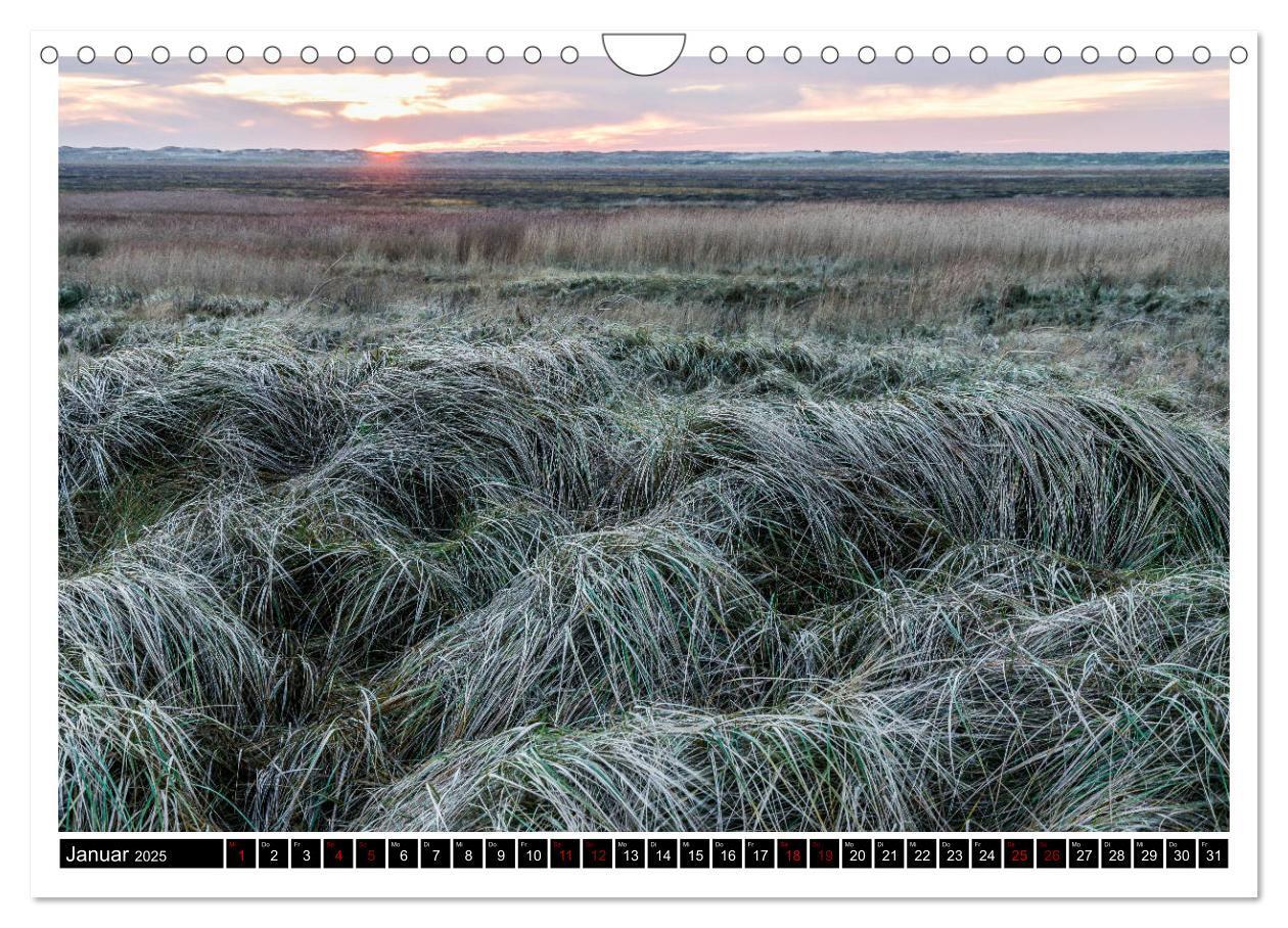 Bild: 9783435724260 | St. Peter-Ording - Natur pur (Wandkalender 2025 DIN A4 quer),...