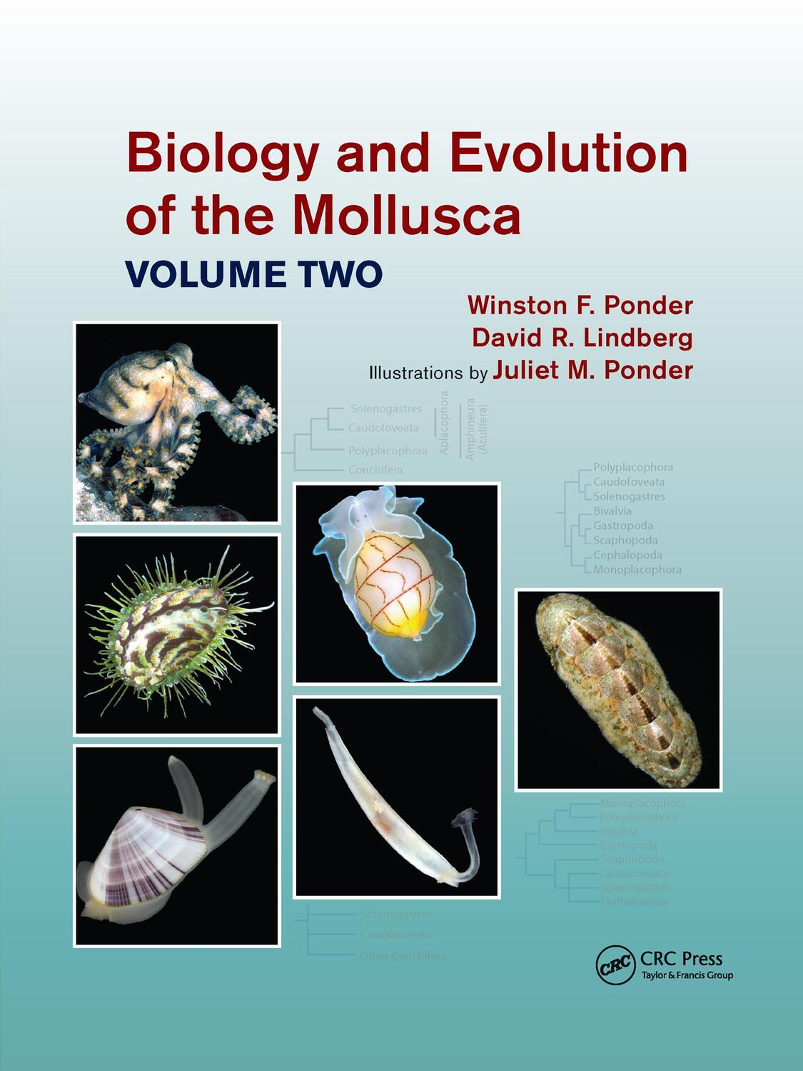 Cover: 9781032173542 | Biology and Evolution of the Mollusca, Volume 2 | Ponder (u. a.)