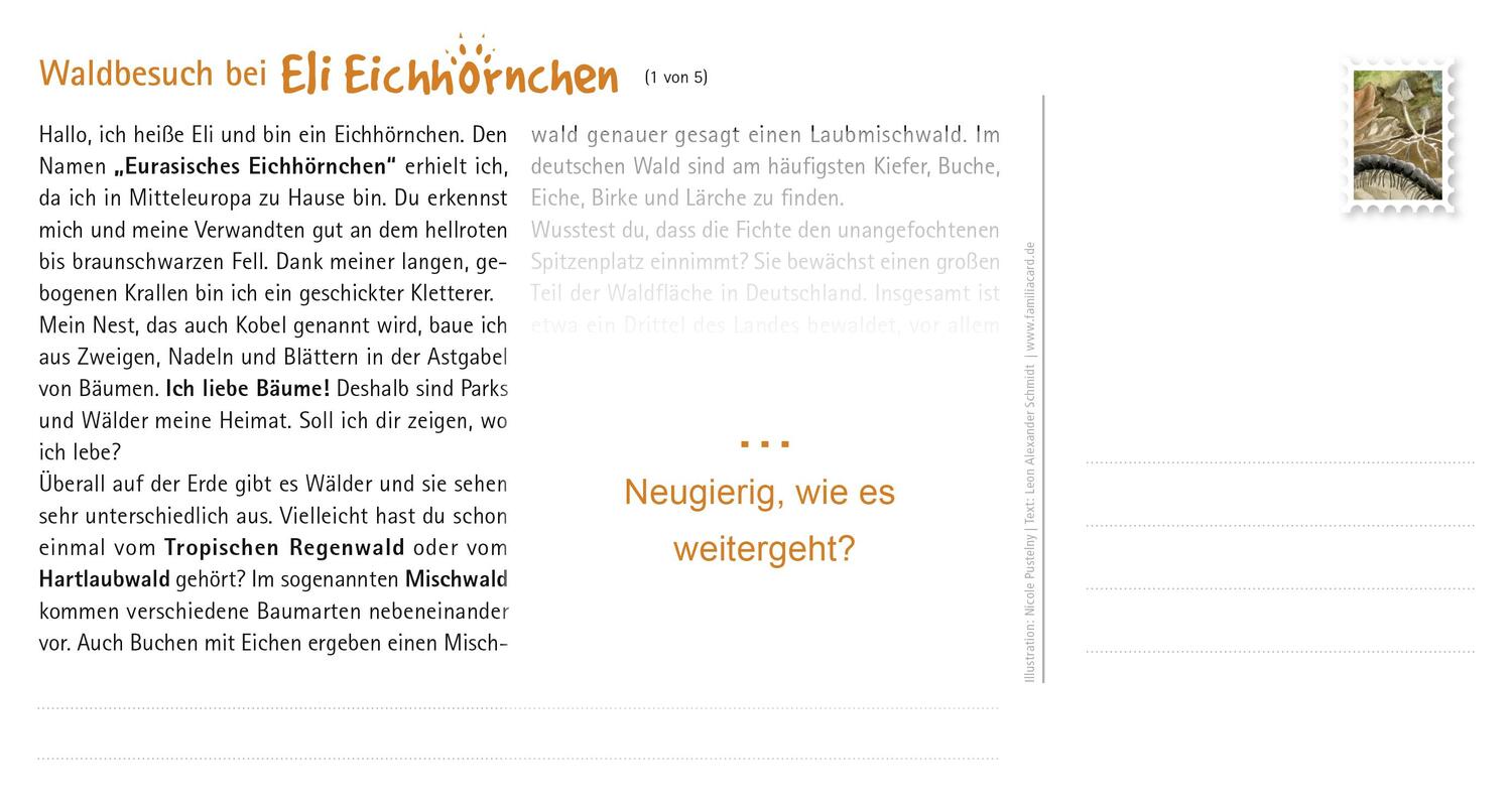 Bild: 9783961311194 | Waldbesuch bei Eli Eichhörnchen | Postkartengeschichte | Schmidt