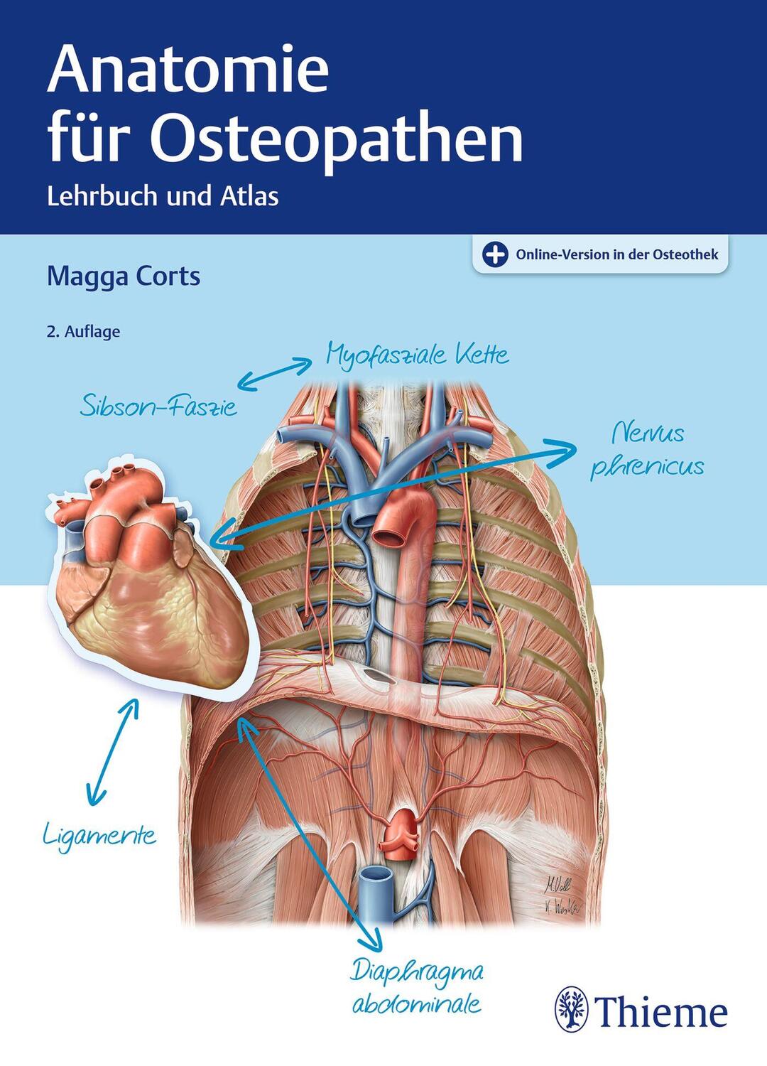 Cover: 9783132445888 | Anatomie für Osteopathen | Lehrbuch und Atlas | Magga Corts | Bundle