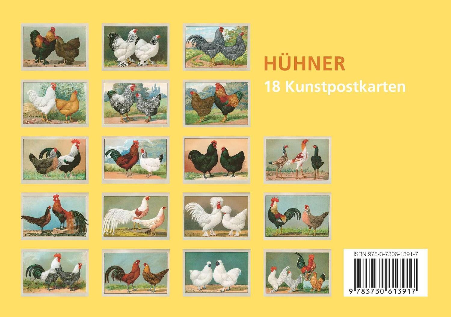 Bild: 9783730613917 | Postkarten-Set Hühner | Anaconda Verlag | Taschenbuch | 20 S. | 2024