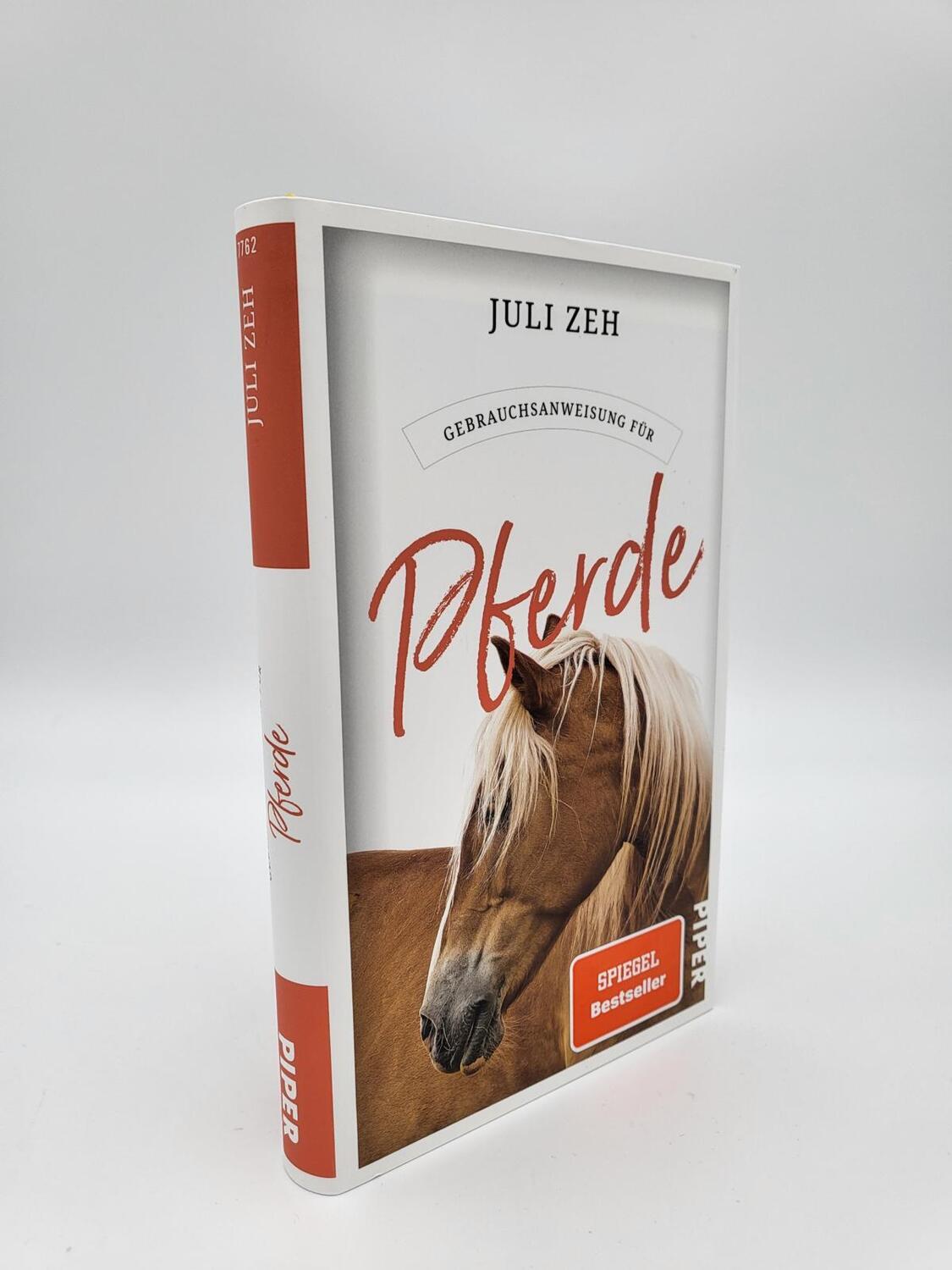 Bild: 9783492277624 | Gebrauchsanweisung für Pferde | Juli Zeh | Taschenbuch | Deutsch