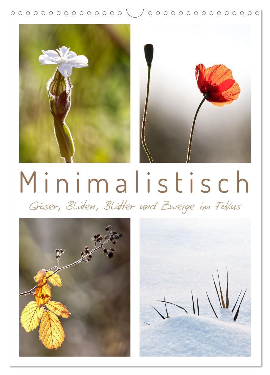 Cover: 9783675494084 | Minimalistisch, Gräser, Blüten, Blätter und Zweige im Fokus...