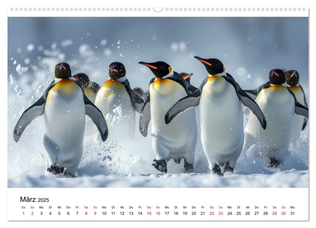 Bild: 9783457164440 | Maritim pur - Pinguine (Wandkalender 2025 DIN A2 quer), CALVENDO...