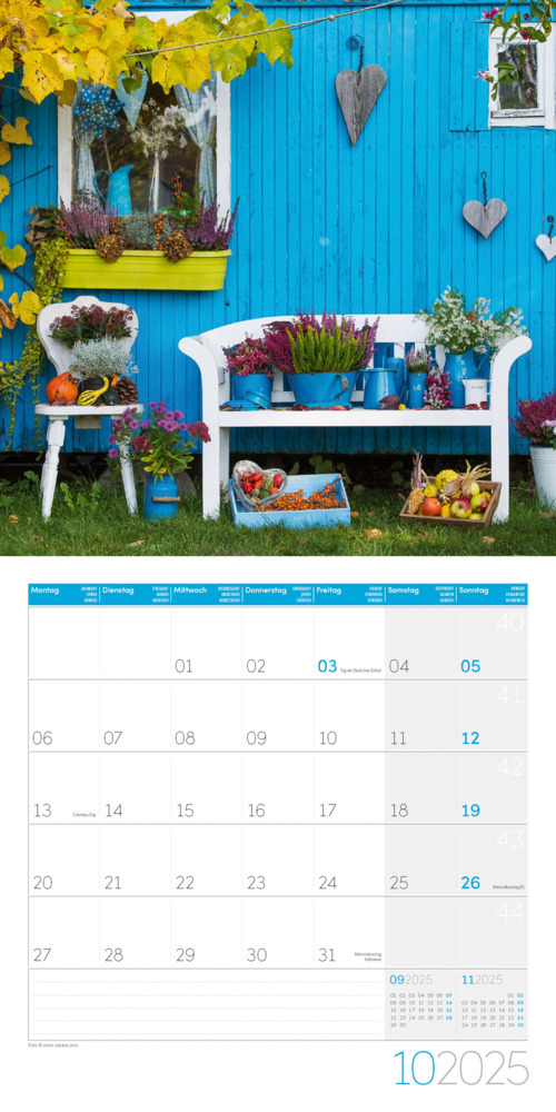 Bild: 9783838445304 | In meinem Garten Kalender 2025 - 30x30 | Ackermann Kunstverlag | 28 S.